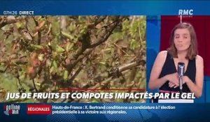 Dupin Quotidien : Jus de fruits et compotes impactés par le gel - 18/06
