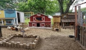 Il transforme son poulailler en véritable petite ville digne du far west