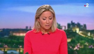 Élections régionales : les résultats du premier tour auront-ils un impact sur l'élection présidentielle de 2022 ?
