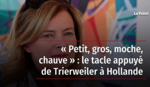 « Petit, gros, moche, chauve » : le tacle appuyé de Trierweiler à Hollande