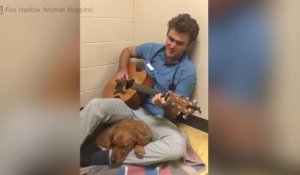 Il chante du Elvis Presley pour un chien