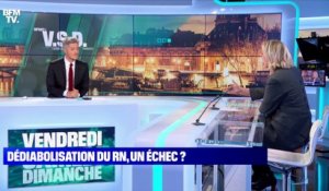 Marine Le Pen: "L'abstention avantage les mouvements qui sont déjà en place" - 25/06