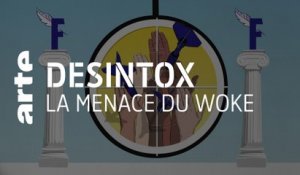 La menace du woke | 30/06/2021 | Désintox | ARTE