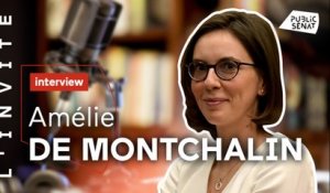 Amélie de Montchalin :  "La politique doit parler aux Français et à la France."
