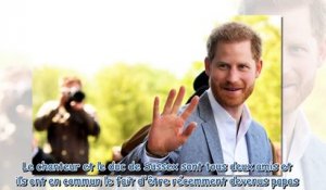 Prince Harry - au Royaume-Uni, il parle de sa fille Lilibet pour la première fois lors d'une apparit