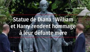 Statue de Diana : William et Harry rendent hommage à leur défunte mère