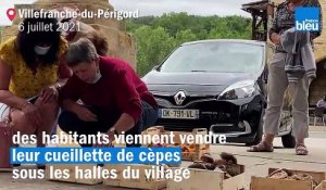 VIDÉO - "La pousse a été bonne" au marché aux cèpes de Villefranche-du-Périgord