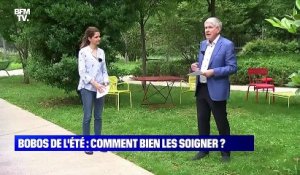 Bobos de l'été : comment bien les soigner ? - 11/07