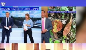 La météo pour ce jeudi 8 juillet 2021