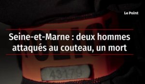 Seine-et-Marne : deux hommes attaqués au couteau, un mort