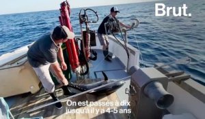 En Corse, ce pêcheur prône une pêche "durable" et "responsable"