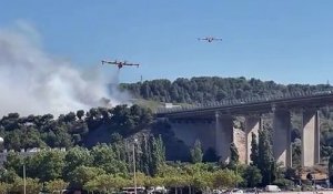 Incendie A55 à Martigues : les Canadair sont là