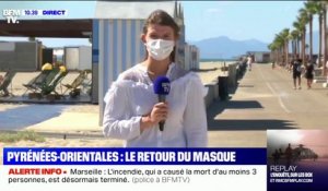 Pyrénées-Orientales: le préfet décide de fermer les bars et restaurants dès 23 heures jusqu'au 2 août