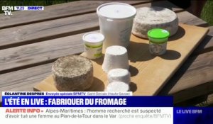 En Haute-Savoie, une ferme propose à ses visiteurs d'apprendre à faire du fromage