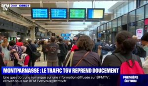 Accident mortel près de Massy: Le trafic TGV reprend normalement à la gare Montparnasse
