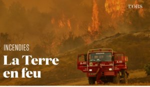 Incendies : tour du monde d'une planète qui brûle