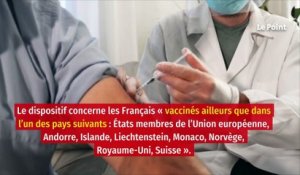 Un pass sanitaire spécial pour les expatriés lancé en France