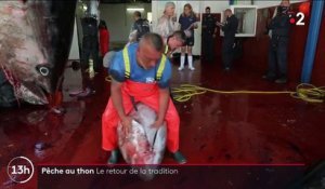 Sardaigne : la tradition de la pêche au thon perdure