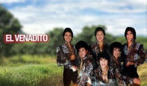 Los Felinos - El Venadito (Lyric Video)