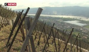 La production de vin français à un niveau «historiquement bas» en 2021