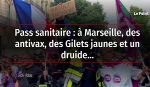 Pass sanitaire : à Marseille, des antivax, des Gilets jaunes et un druide...