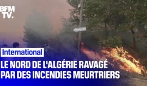 Le nord de l'Algérie fait face à des incendies meurtriers