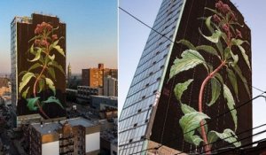 À Jersey City, une fresque végétale de 60 mètres de hauteur émerveille le centre-ville