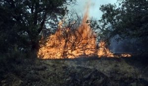 Fortes chaleurs et incendies font des ravages en Algérie, en Italie, en Grèce et en Russie