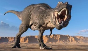 Une nouvelle étude scientifique affirme qu'au moins 2,5 milliards de T-Rex auraient vécu sur Terre