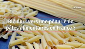 Blé dur : vers une pénurie de pâtes alimentaires en France ?