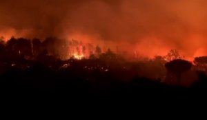 Incendie dans le Var : un violent feu de forêt sévit près de Saint-Tropez, des milliers de personnes évacuées