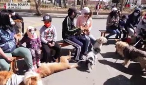 Bolivie : El Alto célèbre une messe en l'honneur de saint Roch, le saint patron des chiens