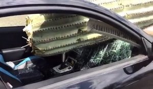 Un énorme cactus se retrouve dans le pare-brise d'une voiture