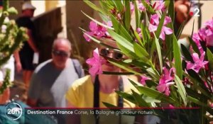 Corse : la Balagne, une région pleine de ressources naturelles
