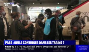 Pass sanitaire: la SNCF estime que 25% de ses voyageurs ont été contrôlés depuis le 9 août