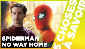 UN TRAILER QUI AGITE LA TOILE ! - 5 Choses à Savoir sur le trailer de Spider-Man : No Way Home