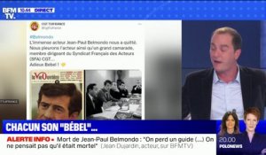 Hommages à Jean-Paul Belmondo: Sur les réseaux, chacun son Belmondo