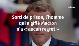 Sorti de prison, l’homme qui a giflé Macron n’a « aucun regret »