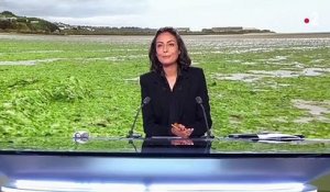 Algues vertes : les autorités bretonnes demandent l'aide des agriculteurs