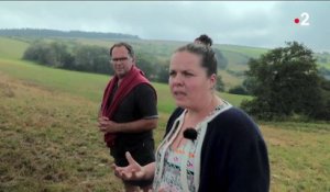 Aveyron : le vautour, nouvelle bête noire des éleveurs