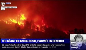 Espagne: un important incendie ravage depuis plusieurs jours la région de Malaga, en Andalousie