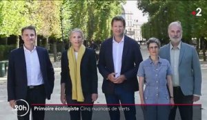 Primaire écologiste : cinq candidats, cinq visions politiques