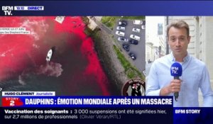 Hugo Clément: "Les Îles Féroé ont franchi la ligne rouge avec ce massacre où près de 1500 dauphins ont été tués en une seule fois"