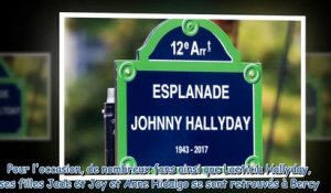 Hommage à Johnny Hallyday - Florent Pagny dézingue la statue érigée à Paris