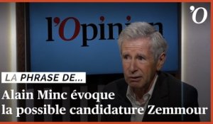 Alain Minc: «Zemmour hystérise une société qui n’en a pas besoin»