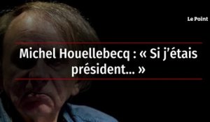Michel Houellebecq : « Si j’étais président… »