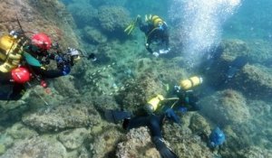 Espagne : des plongeurs amateurs ont découvert un trésor incroyable au fond de la mer