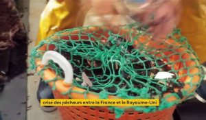 Post-Brexit : la Grande-Bretagne restreint l'accès à Jersey aux pêcheurs français