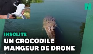 Un crocodile croque le drone d'une chaîne de télé en plein tournage
