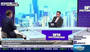 Sommet BFM Patrimoine : Biodiversité, pourquoi les investisseurs s'y intéressent ? - 07/10